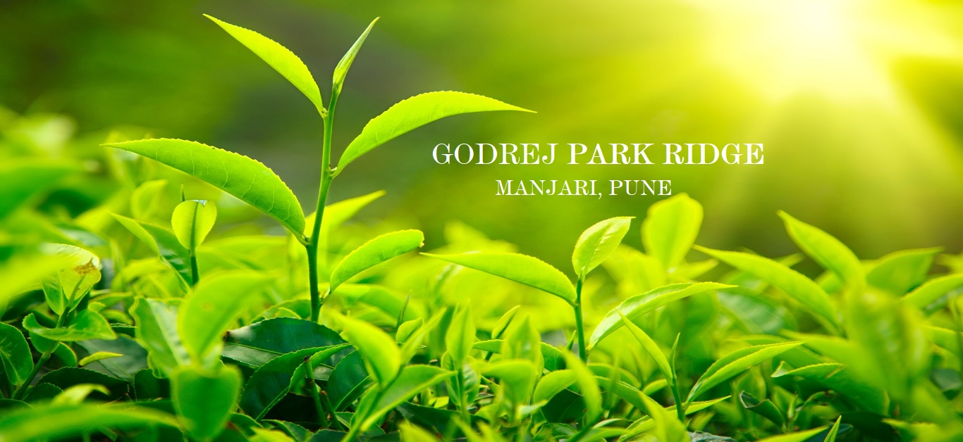 2/3 BHK Apartment